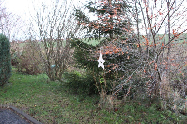 1. Dec – Klaus Preez (Marion’s Dad, who made all the wooden stars), Greifswald, Germany “Live the journey of life in a way, that flowers will blossom along its way.